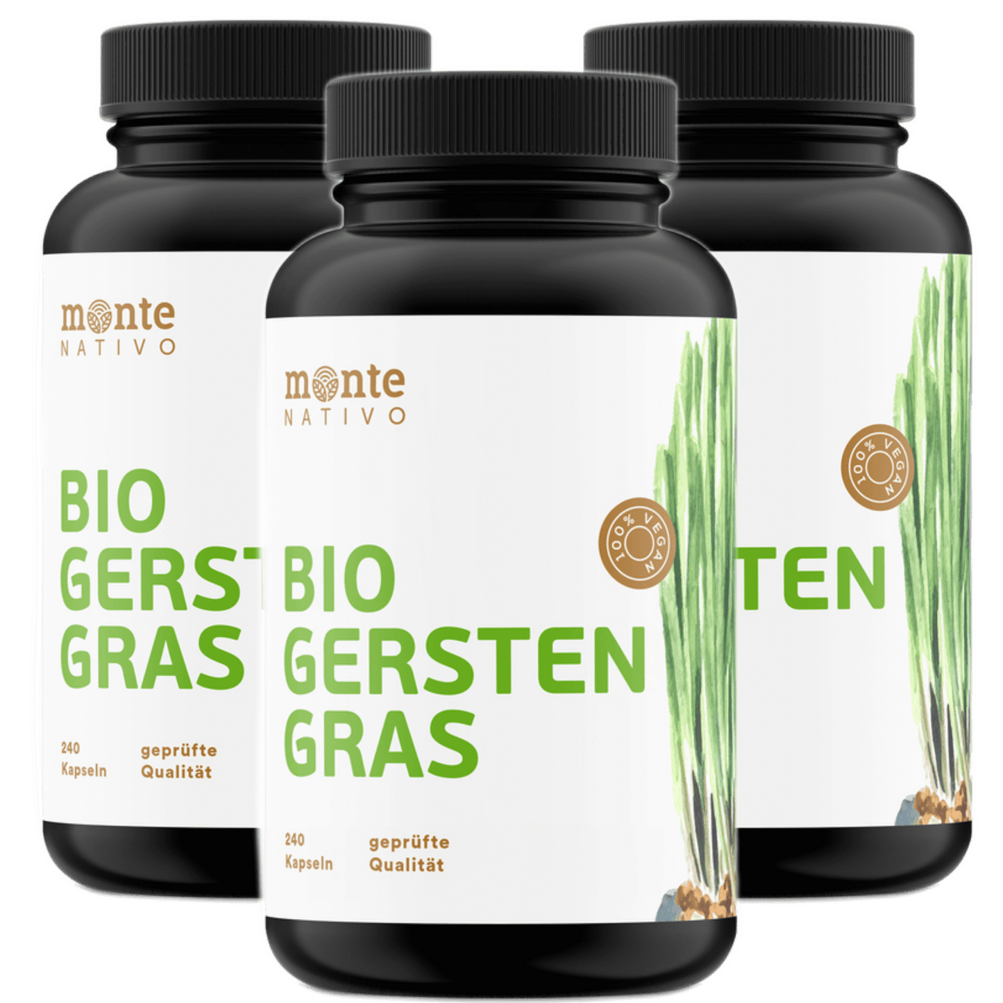 Bio Gerstengras Kapseln - 240 Kapseln