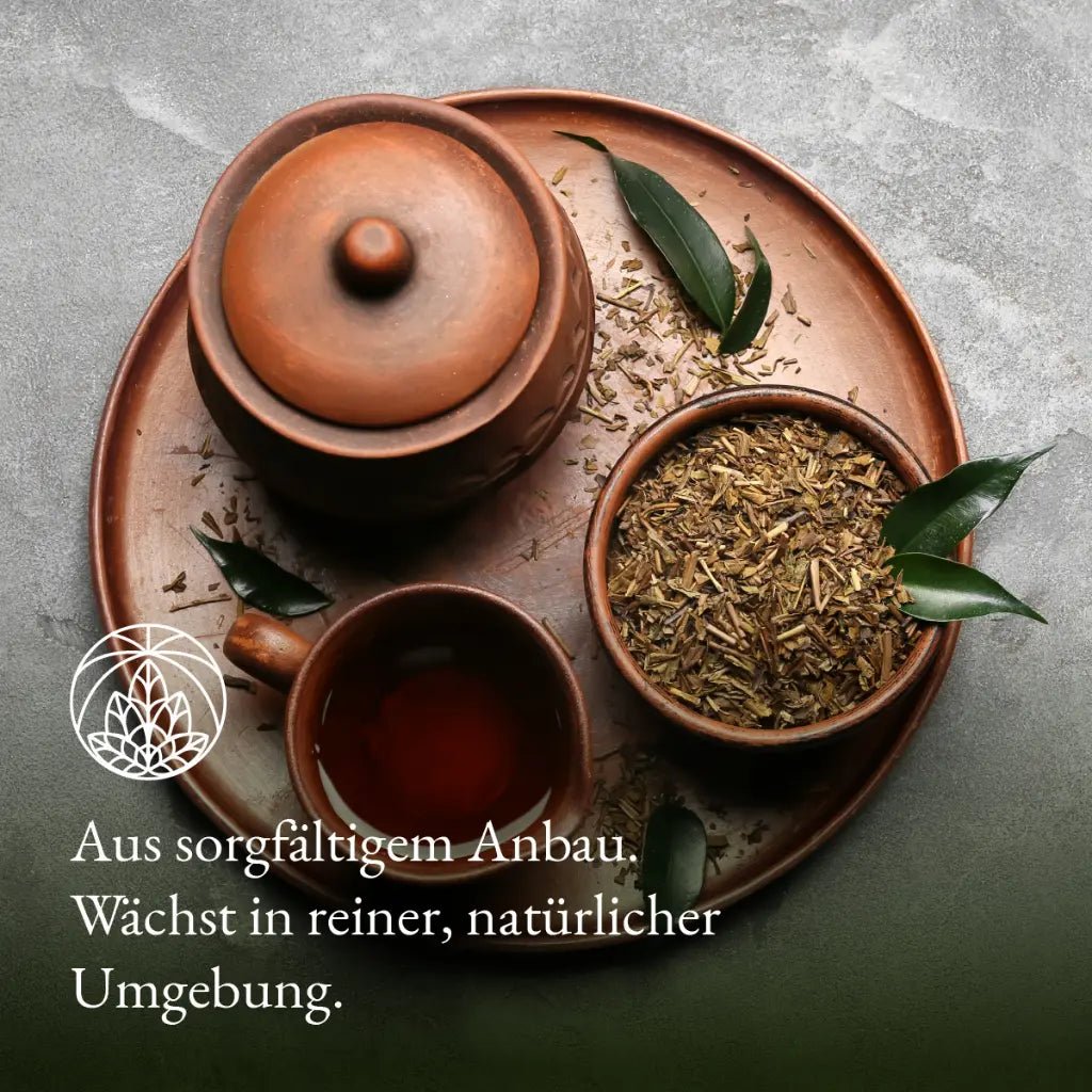 Herbata Sencha (200g)