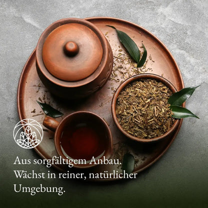 Herbata Sencha (200g)